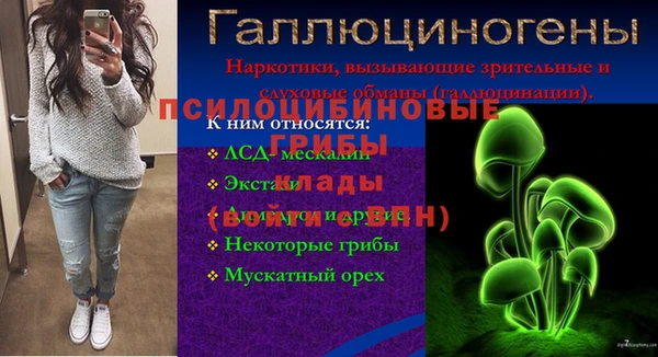 тгк Корсаков