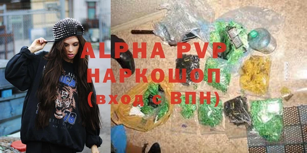 тгк Корсаков