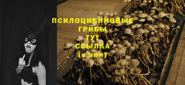 тгк Корсаков