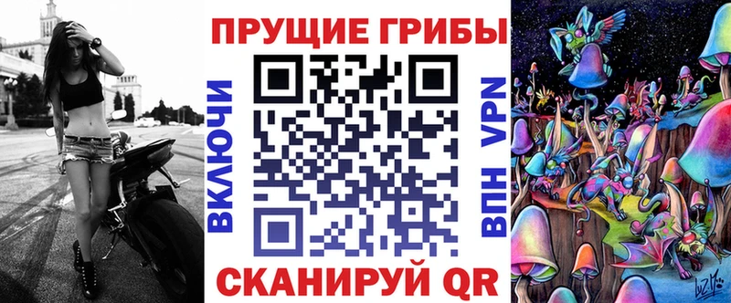 Купить где  Ясный  Псилоцибиновые грибы Psilocybe 
